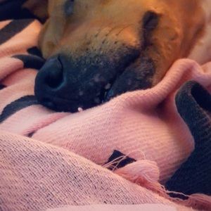 Meet your Posher, Jen